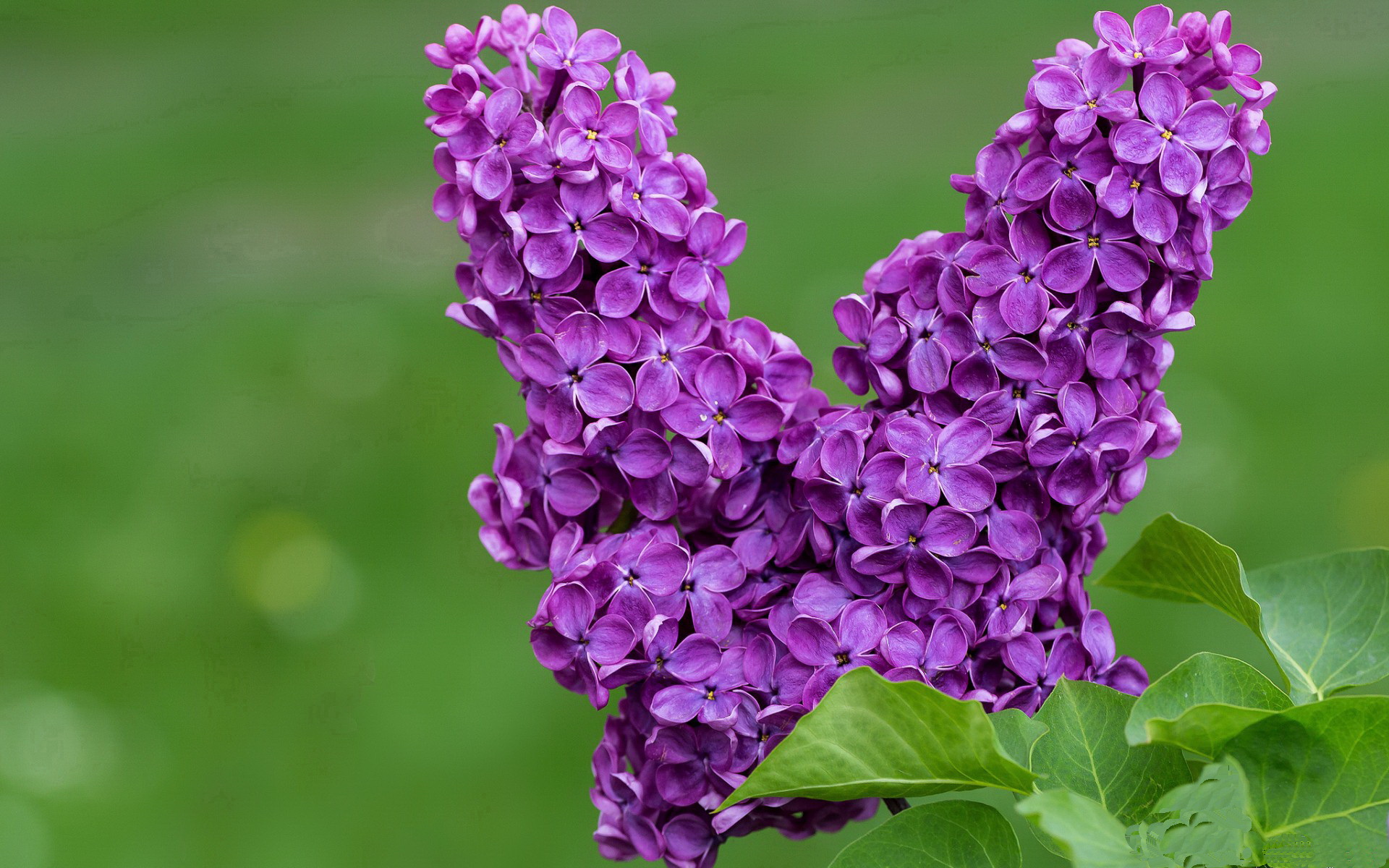 中国篮球文化节成功举办多场活动，篮球文化节活动方案
